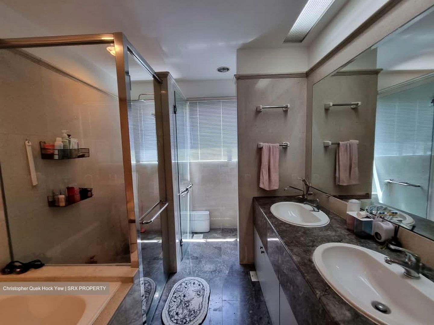 Sommerville Park (D10), Condominium #553005971